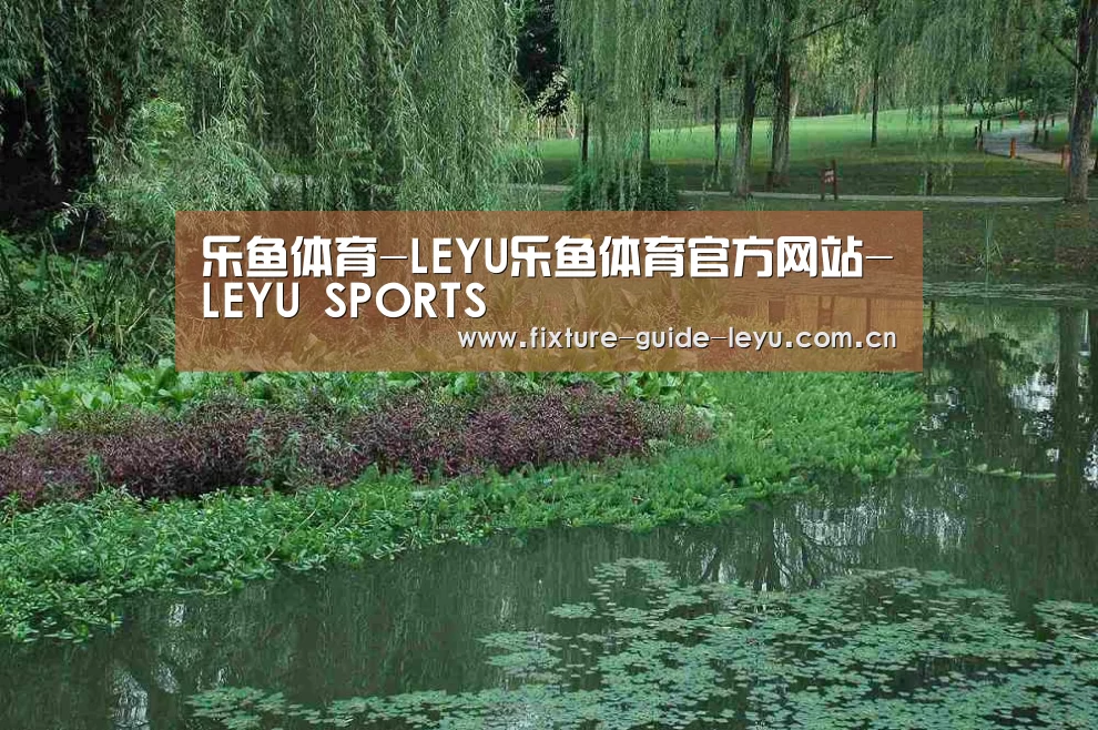 案例展示一(图1)