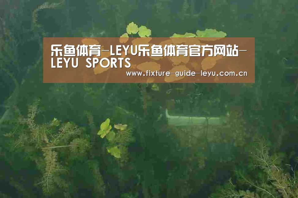 案例展示三(图1)