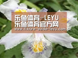产品名称二