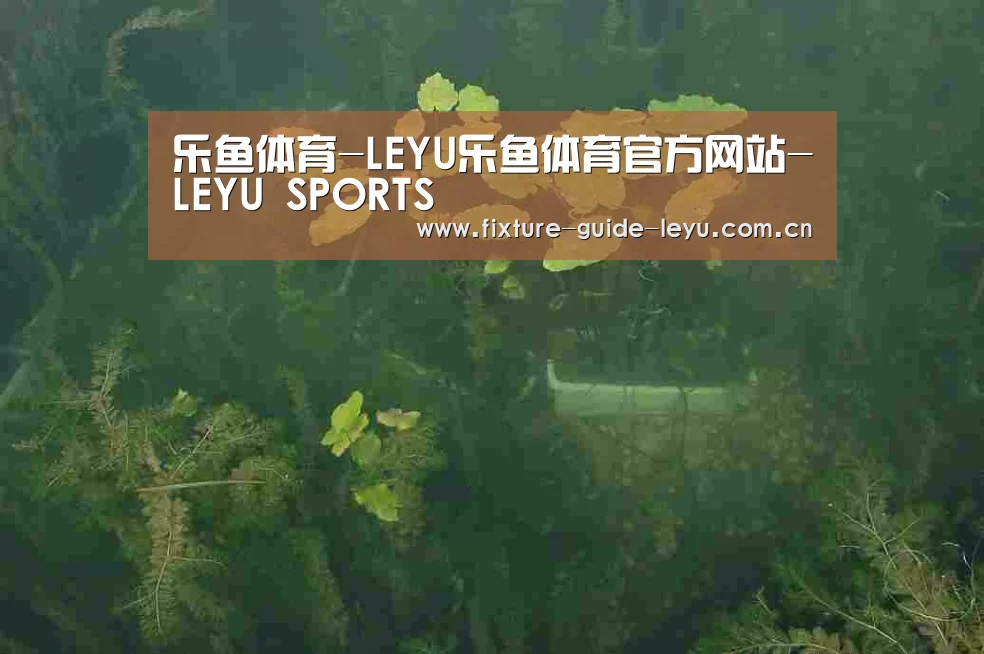 案例展示三