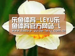 产品名称四