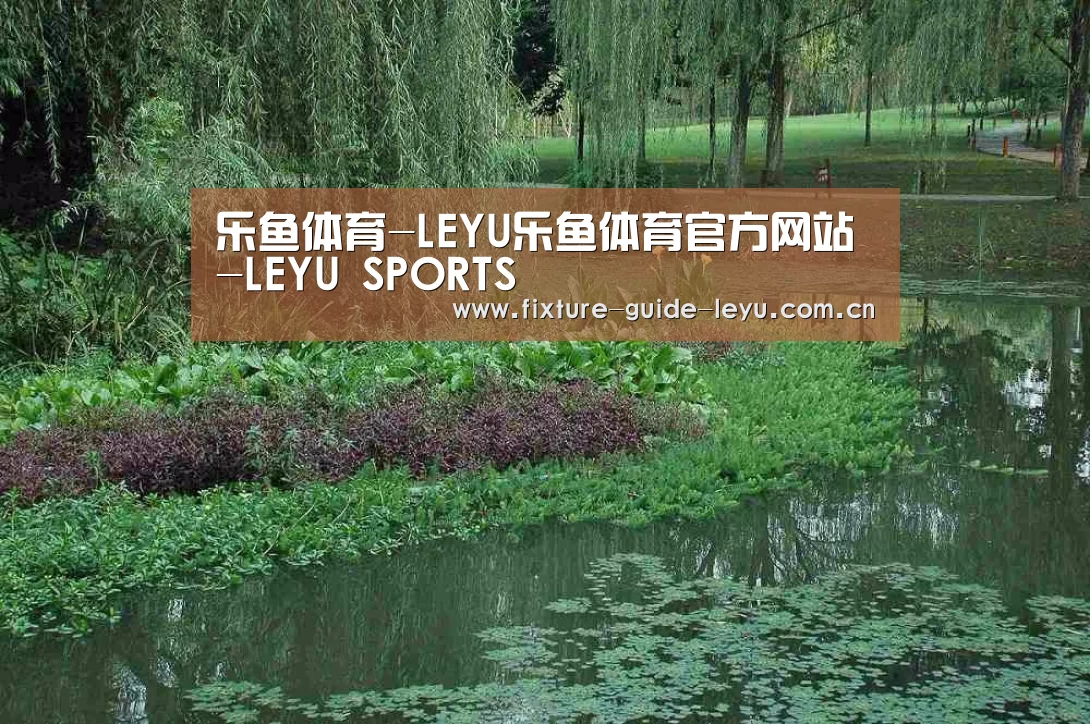 案例展示一
