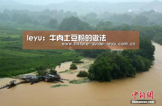 leyu：牛肉土豆粉的做法
