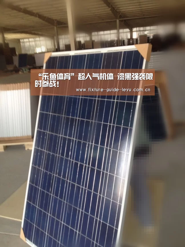 开云乐鱼